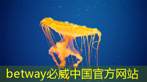 betway必威西漢姆聯(lián)官網(wǎng)：工業(yè)互聯(lián)網(wǎng)硬件品牌有哪些