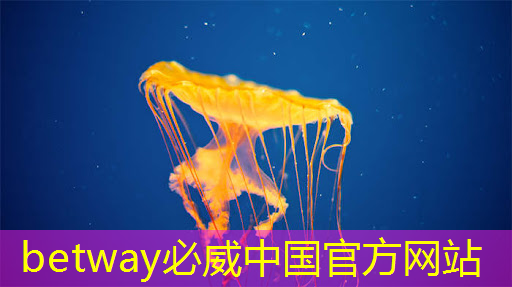 betway必威：工業互聯網運營團隊有哪些