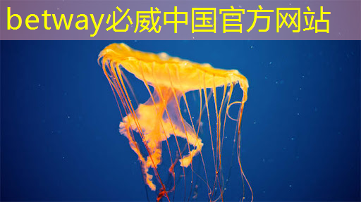 betway必威：使用什么掌上游戲機芯片才能暢玩3D游戲？