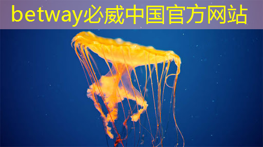 betway必威西漢姆聯官網：新型智慧城市探索地點